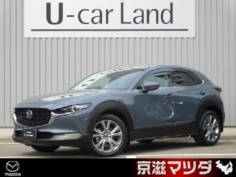 CX-30