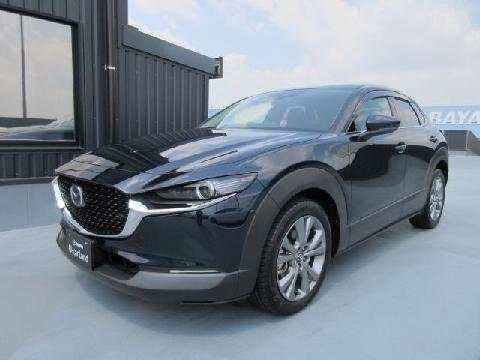 CX-30