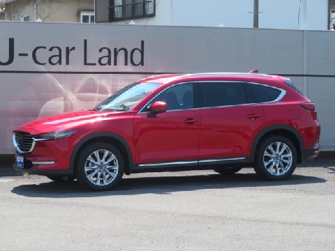 CX-8