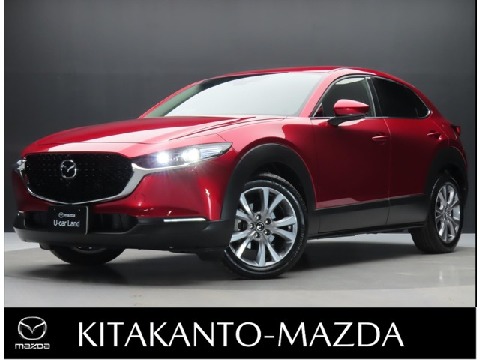 CX-30