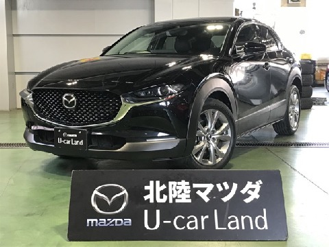 CX-30