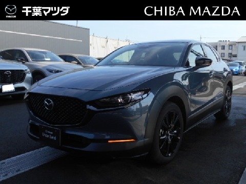 CX-30