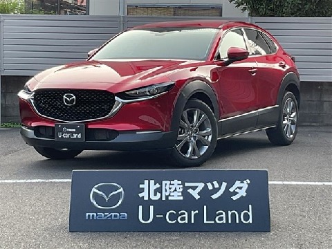 CX-30