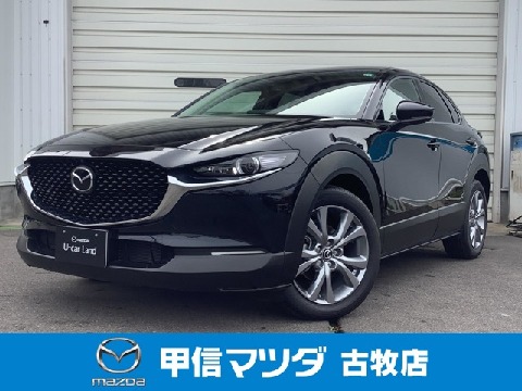 CX-30