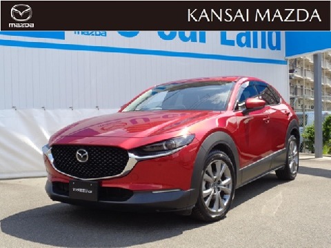 CX-30