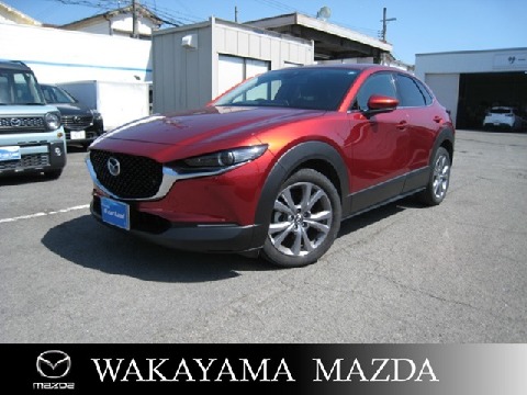 CX-30
