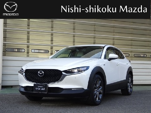 CX-30