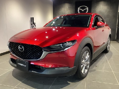 CX-30