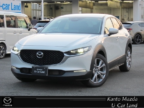 CX-30
