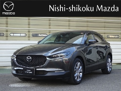 CX-30