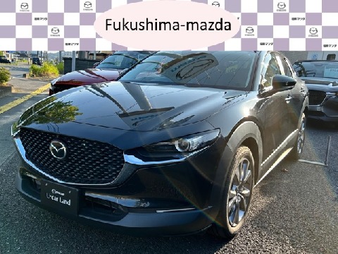 CX-30