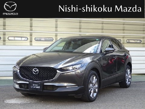 CX-30