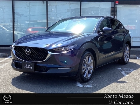 CX-30