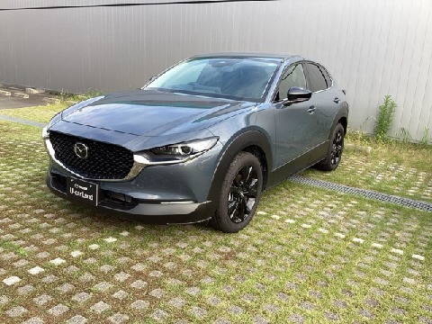 CX-30
