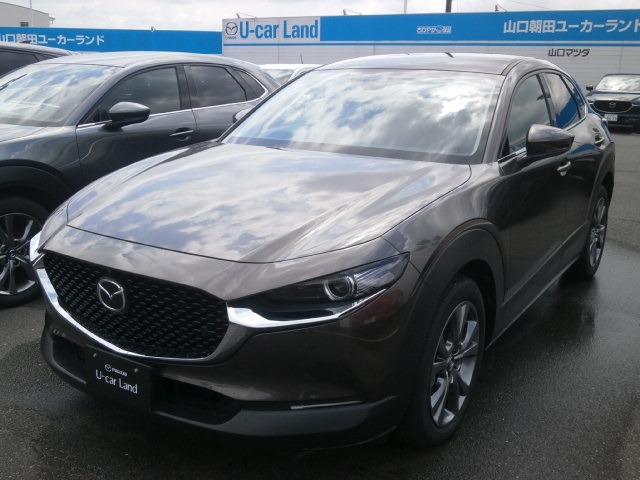 Mazda Cx 30 Xプロアクティブ ツーリングs マツダ中古車検索サイト Mazda U Car Search