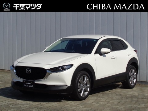 CX-30