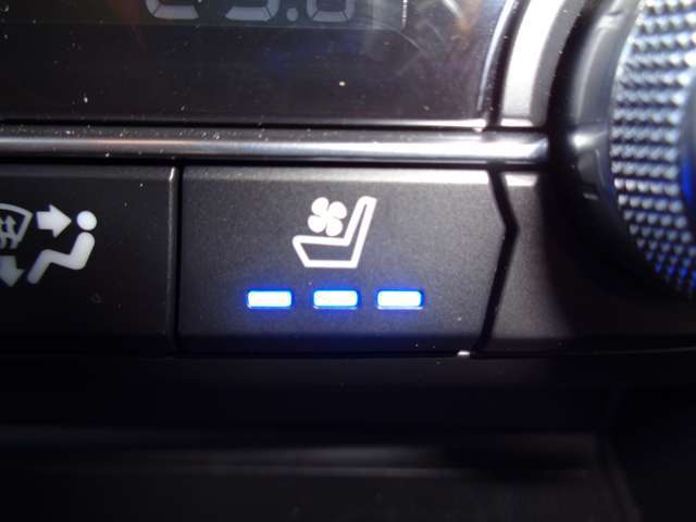 Mazda Cx 8 Xd 特別仕様車 100周年記念車 マツダ中古車検索サイト Mazda U Car Search