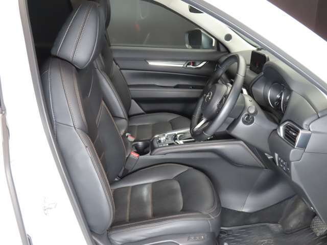 cx51達磨の型 cx51達磨の型